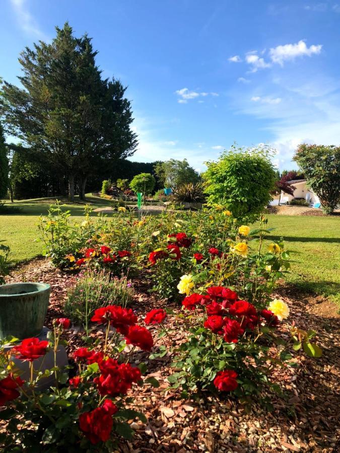 Bed & Breakfast Lagalerne *