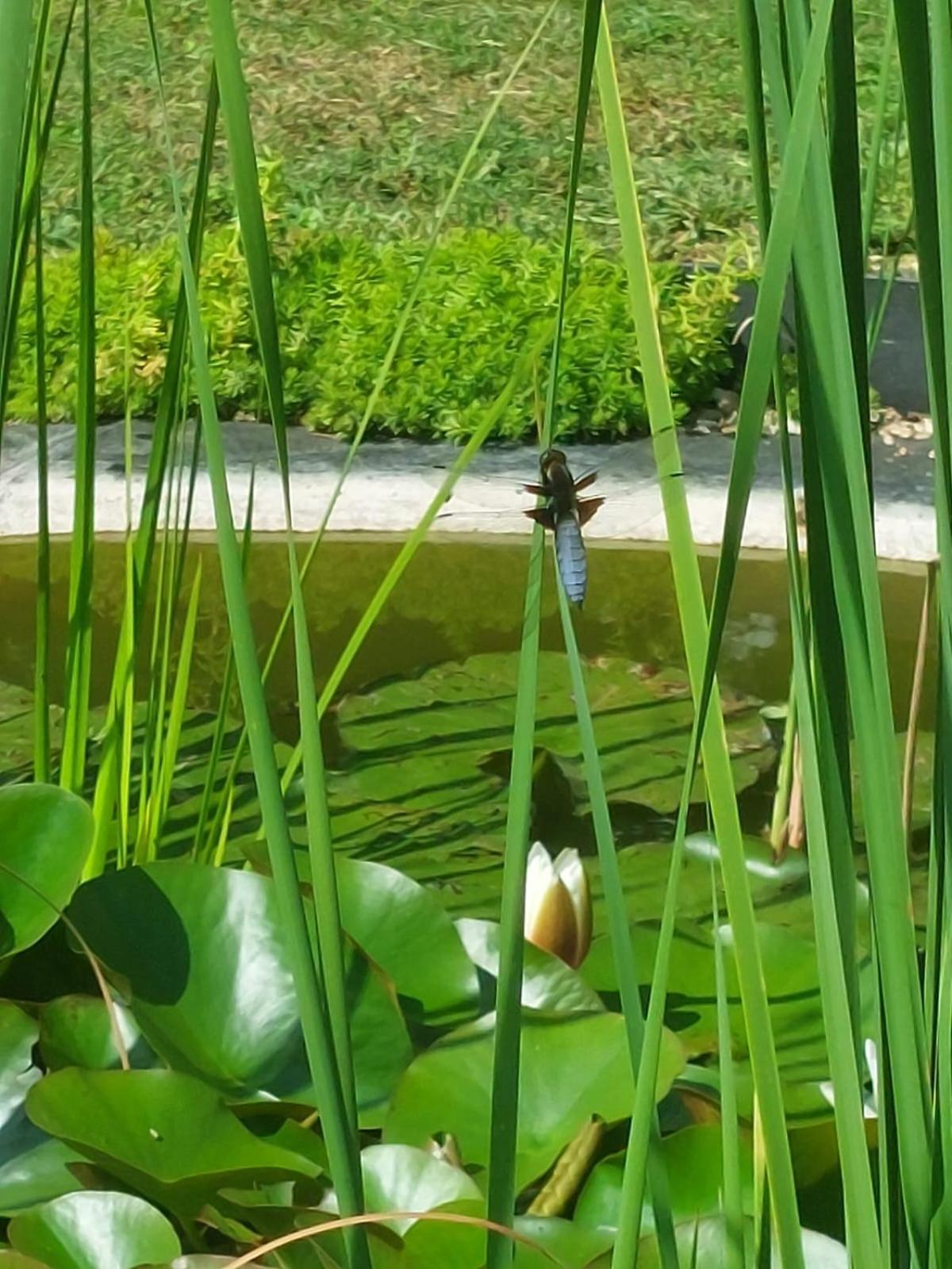 Lagalerne Bed & Breakfast Neuville-de-Poitou